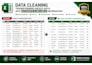 do microsoft excel data entry, formatting and data cleaning